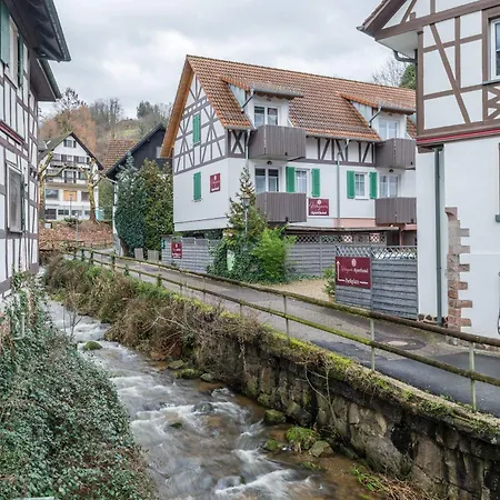 Schusterjunge Haus ザスバッハヴァルデン